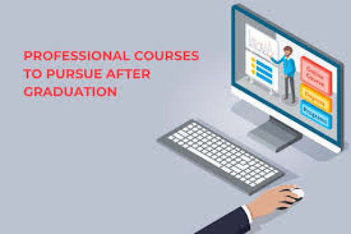 Professional Courses